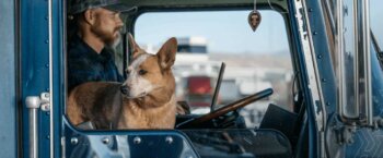8 Ways to Maintain Work-Life Balance as a Truck Driver