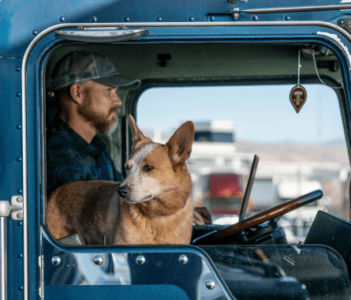 Carrier with pet in the cab of a truck.