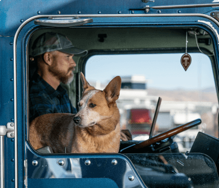 Carrier with pet in the cab of a truck.