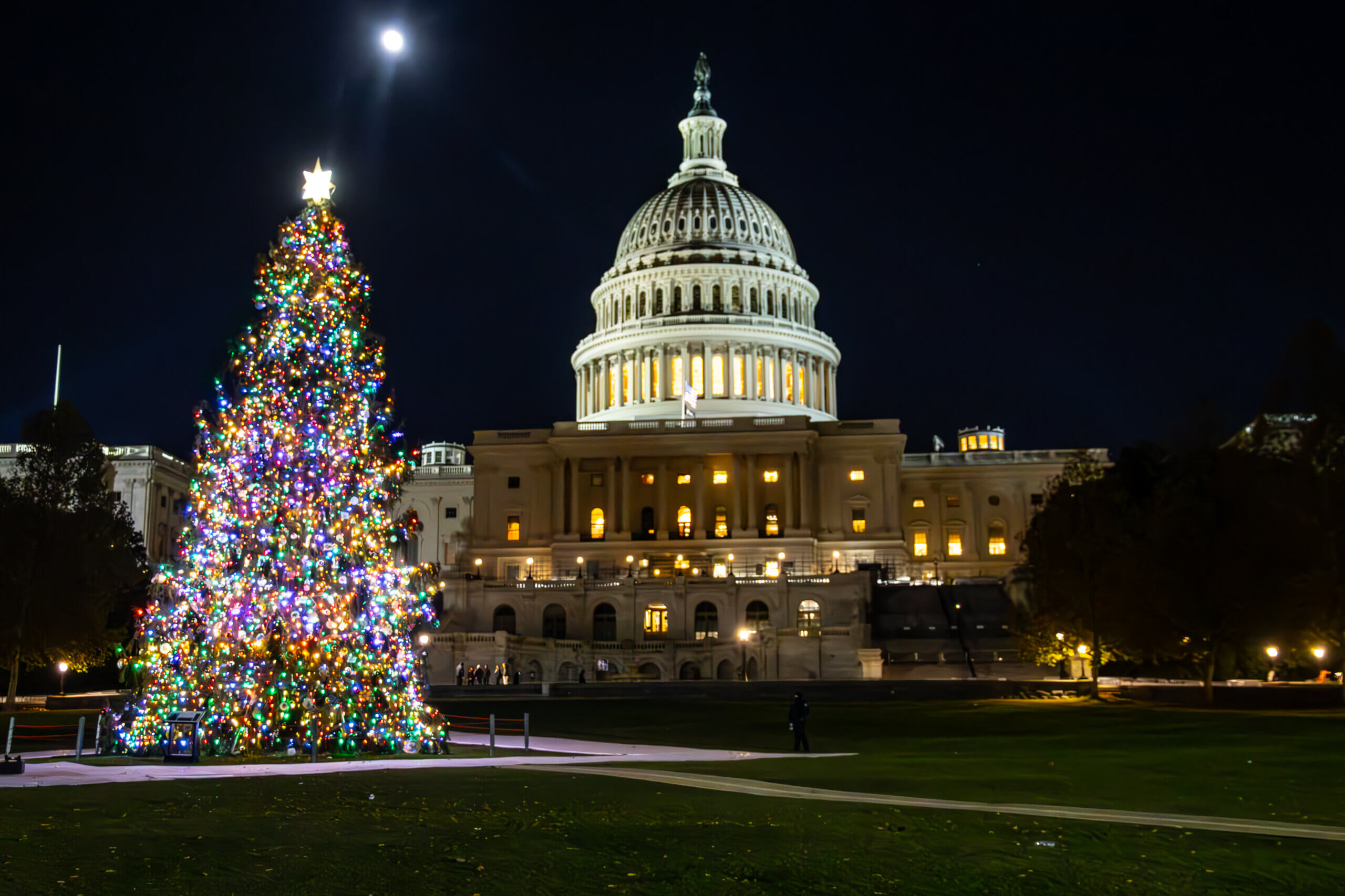 Truckstop Sponsors the 2023 Capitol Christmas Tree