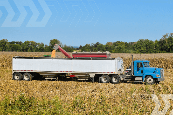 Midwest Corn Harvest Creates Massive Freight Opportunities