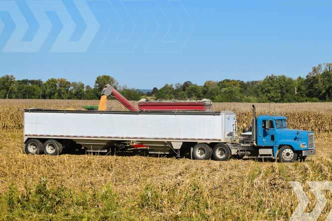 Midwest Corn Harvest Creates Massive Freight Opportunities