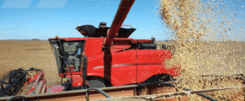 How Owner-Operators Maximize Profits During Soybean Harvest Season