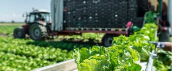 Produce season by state: a carrier’s guide to timing and planning